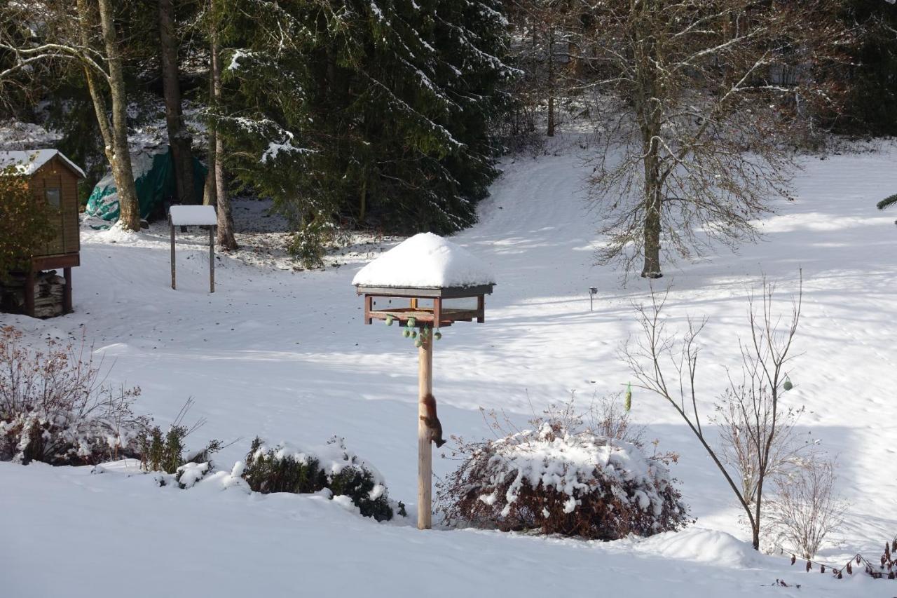 Hollhouse - Bed&Breakfast Hinterzarten Exterior foto