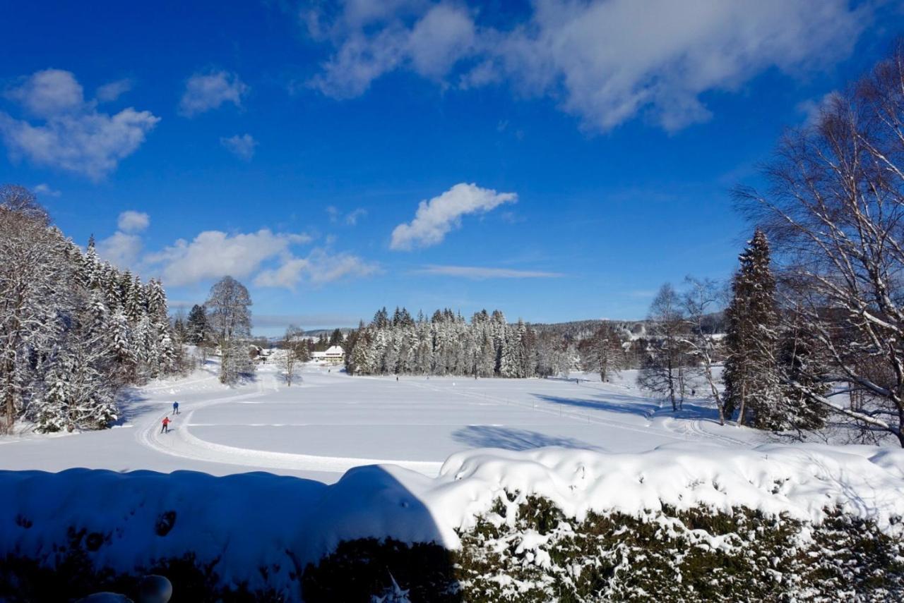 Hollhouse - Bed&Breakfast Hinterzarten Exterior foto