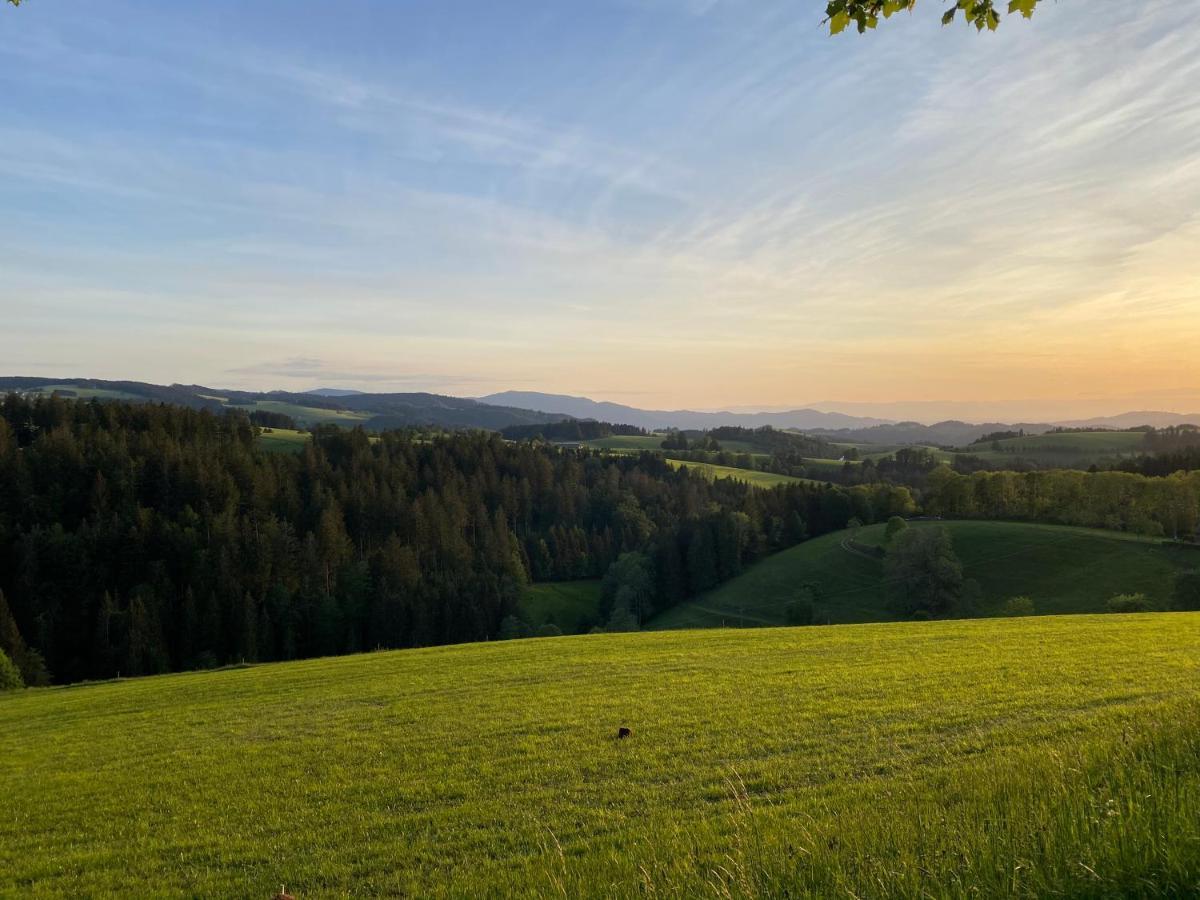 Hollhouse - Bed&Breakfast Hinterzarten Exterior foto
