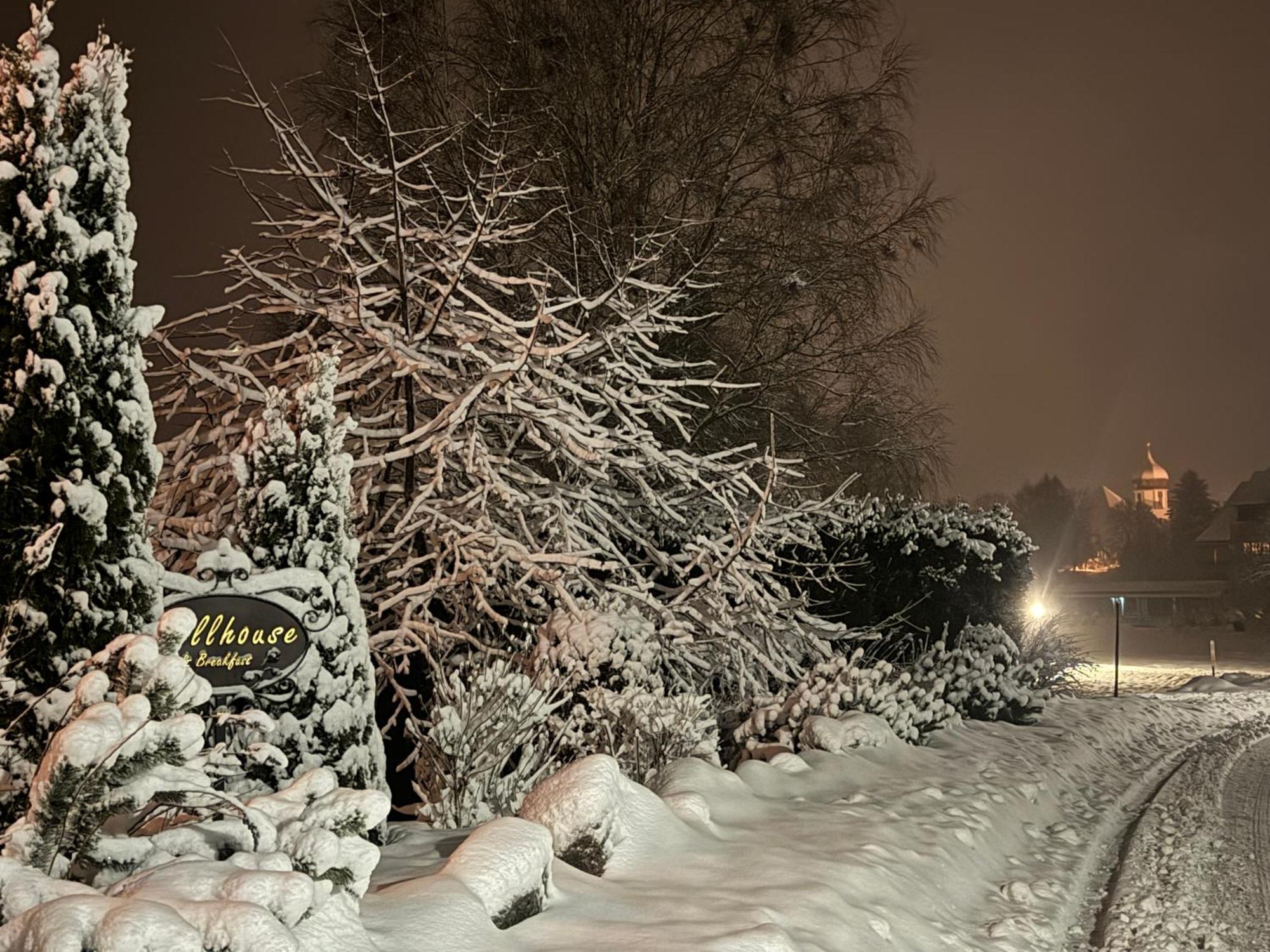 Hollhouse - Bed&Breakfast Hinterzarten Exterior foto