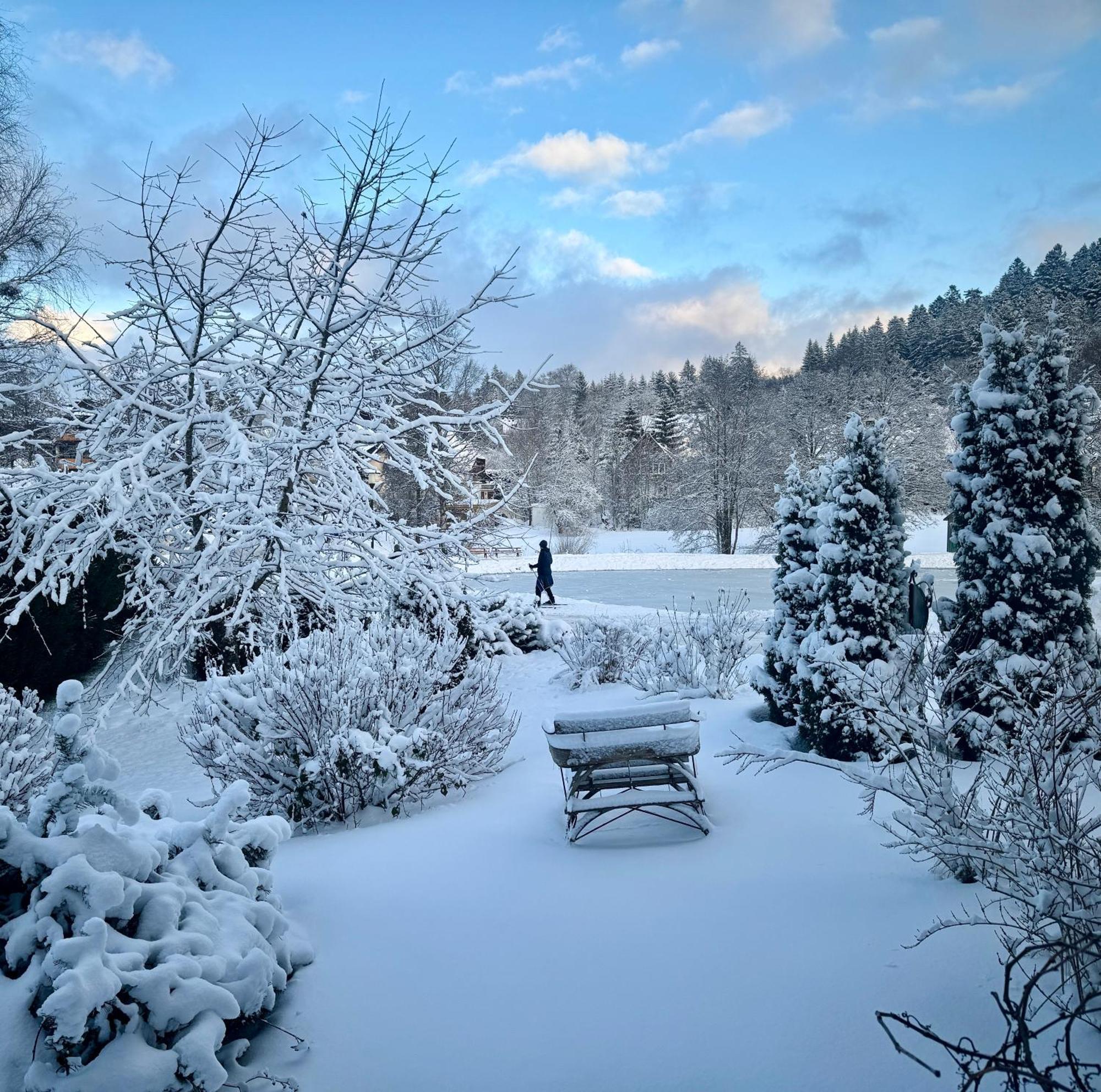Hollhouse - Bed&Breakfast Hinterzarten Exterior foto